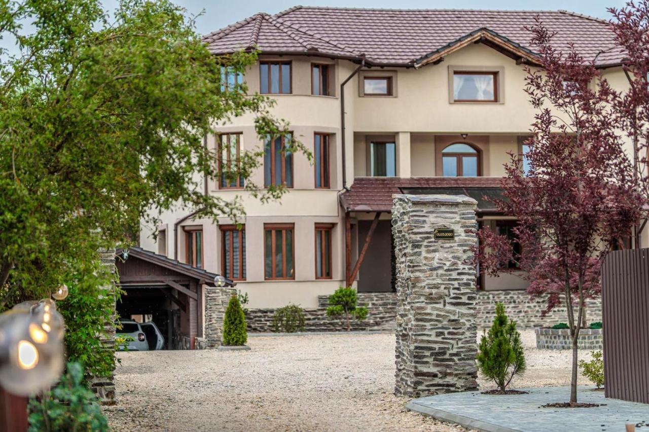 Transilvania Mansion Брашов Екстериор снимка